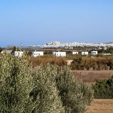 Lemonia Grand Deluxe 公寓 Agia Anna (Naxos)